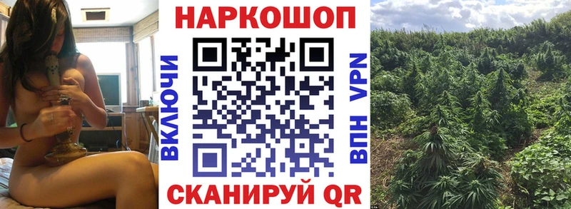 Купить наркотик аптеки Пушкино Alpha PVP MDMA Марихуана Cocaine Меф мяу мяу