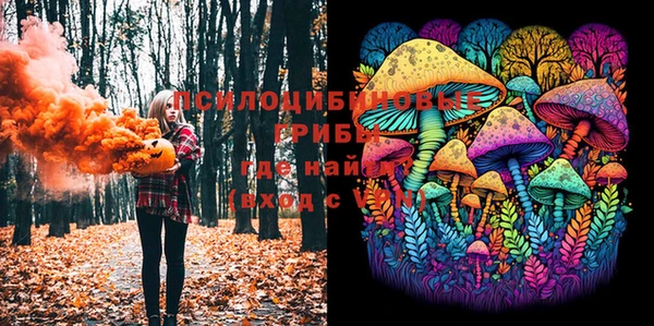 прущая мука Бронницы