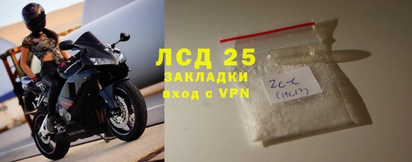 спиды Бородино