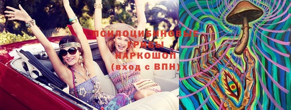 спиды Бородино