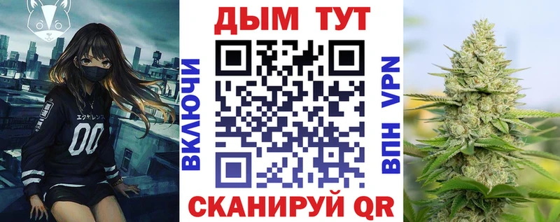 дарк нет наркотические препараты  Пушкино  Шишки марихуана MAZAR  сколько стоит 